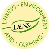 Certification Leaf 